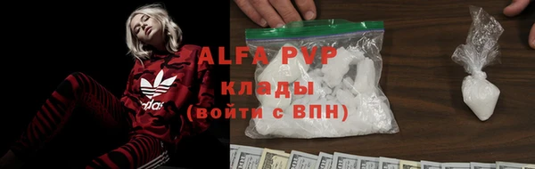 гашик Кинешма