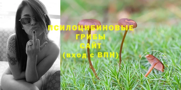 гашик Кинешма