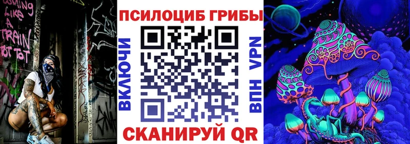 kraken зеркало  Яблоновский  Галлюциногенные грибы Cubensis 